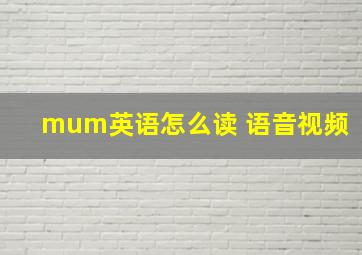 mum英语怎么读 语音视频